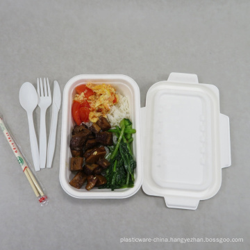 Wholesale 100% Biodegradable Sugar Cane Bagasse School Lunch Box